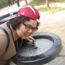 김천신용협동조합 이미지