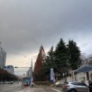 삼산월드체육관 | 인천 삼산월드체육관 여자배구 직관 후기 feat. 현대건설vs흥국생명,, 배구 재밌네