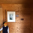 산에사네 이미지