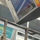 NR-1[경수대로]-하-32 | 팀 잘못 만난 팬이 쓰는 야구 일기[내년엔 잘하겠지__]