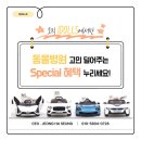 랙돌캐터리 이미지