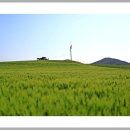 태안바다 이미지