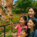 한국민속극박물관 | 체험학습장은 진리 입니다..꼭 사진도 많이 남기시고요.. 고고