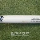 블랙배트 이미지