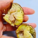 이평농장 이미지