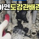 동부수도사업소