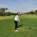 포도컨트리클럽 | 중국 선전(심천) 골프여행. 3월 특별 프로모션. 미팅&amp;샌딩비 지원 이벤트. 팜 아일랜드 C.C