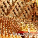 으뜸인쇄 - 군포시 | 으뜸인쇄