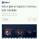 제주서 올해 첫 야생진드기 바이러스 감염 사망(종합) 이미지