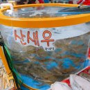 수원시농산물도매시장 | 수원농수산물시장 새우 맛집 추천! 오양수산 새우 포장1kg 후기