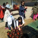 대산초등학교 이미지