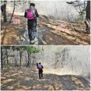 (주)송운사