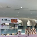 초코랩 - 세종특별자치시 갈매로 353 | 초코랩