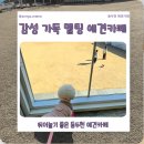 140.운동장입구_2 | 동두천 애견동반카페 멜팅 후기 운동장 넓은 감성 강아지카페