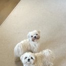 제이앤비 가족호텔 이미지