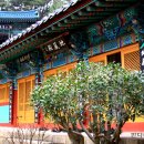 연제구-108 Daum카페