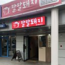 장기동 라베니체 고기집 팔팔돼지 솔직후기:))