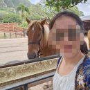 쿠알로아랜치 예약방법 가는방법 및 꿀팁