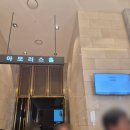 루이비스컨벤션웨딩홀 아모리스홀 하객후기, 연회장 음식/교통/홀분위기
