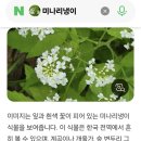 꽃에반하다