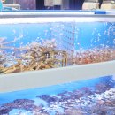 CU 속초장사항점 이미지