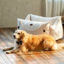 모던펫코리아 | 펫테일 바리스타 강아지카시트 대형 L사이즈 후기 및 사용 꿀팁