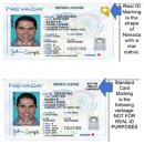 한국 - 네바다주 운전면허 상호인정 약정 체결에 따른 안내 이미지