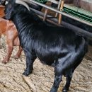 유전2농장 이미지