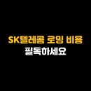 SK텔레콤 로밍 비용 필독하세요