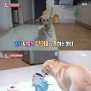 후천농장 이미지