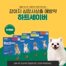 빛가온약국 이미지