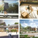 가재울초등학교 이미지