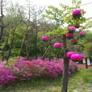 대섭농장 이미지