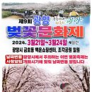 광양벚꽃축제 공연시간 이미지