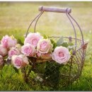 멍석마당 이미지