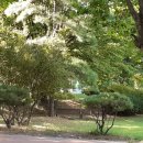 한누리 행정사사무소 이미지