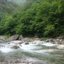 소나무집여인숙 이미지