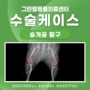 괴산동물병원 이미지