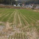 양사면-4 이미지