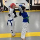 장산태권도 이미지