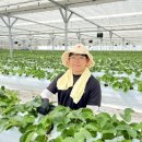 이슬농원 | 교육] 60일차_댓잎이슬농원에서의 교육을 마무리하며 남겨보는 글(댓잎이슬농원 교육 수료 후기와 추천)