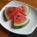 보라카이 최후의 먹방, 이것저것 라스트
