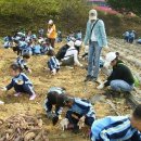 밤두둑마을 이미지