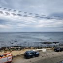 고래불머구리펜션 이미지