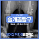 잠실베스트동물병원 수술재활센터 이미지