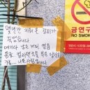 대한건어물