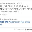 플레드쥬어 이미지