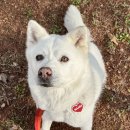 맑은누리한의원 | 괜찮다 되새겼던 지난날들이 무심하게