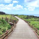 월령리(월령포구) 이미지