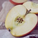 명지농원 이미지